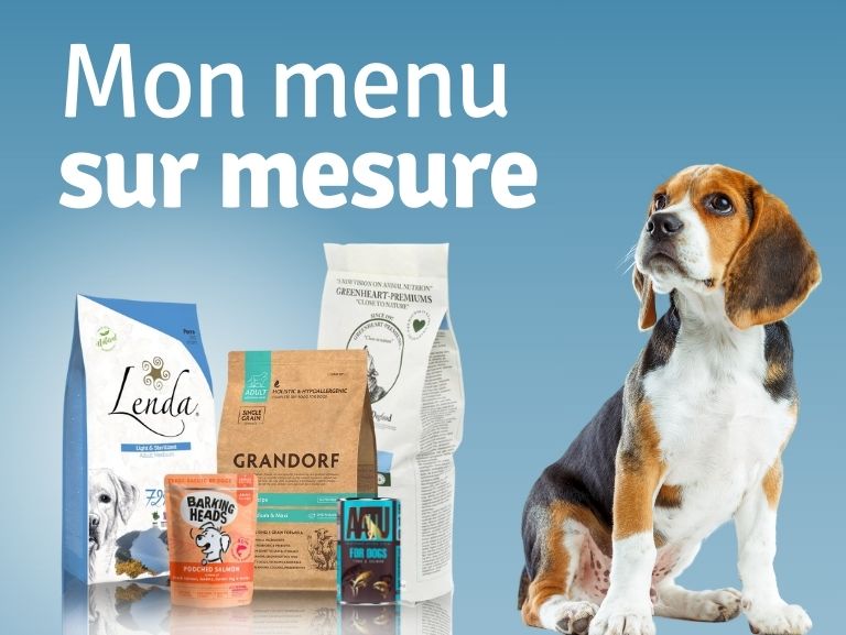 menu sur mesure chien